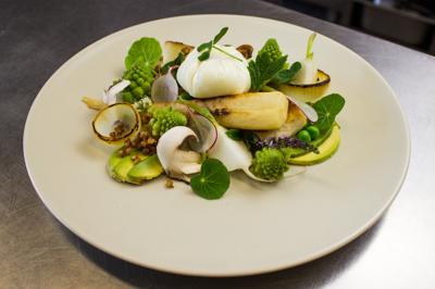 Burrata Panzanella