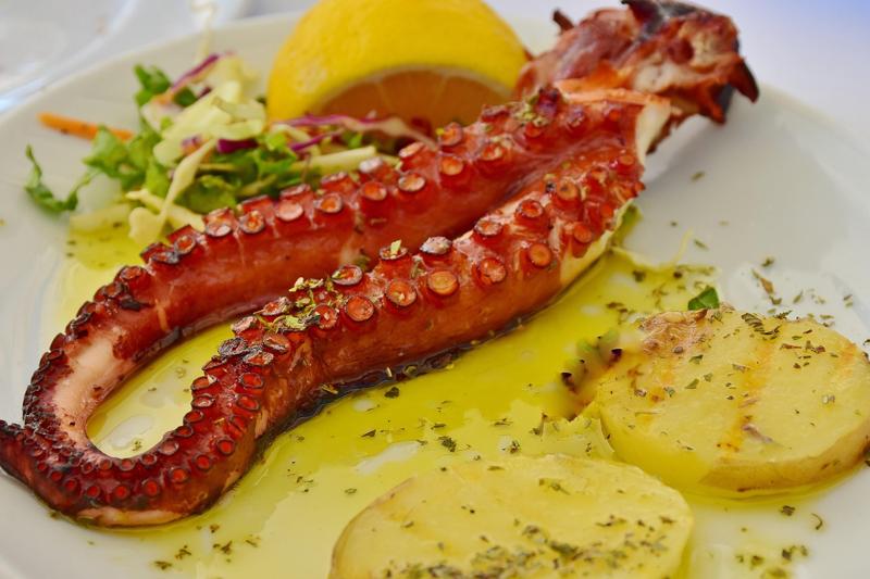 Grilled Octopus